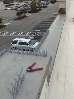 Bird Spikes Installed in Marietta, GA