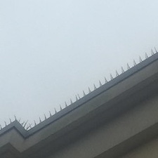Bird Spikes Installed in Marietta, GA 0